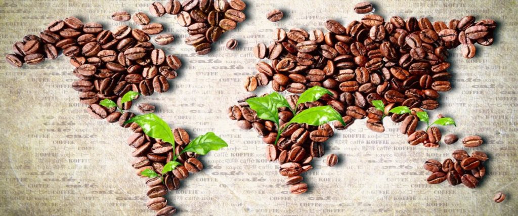 ¿Sabría cómo identificar el mejor café del mundo?