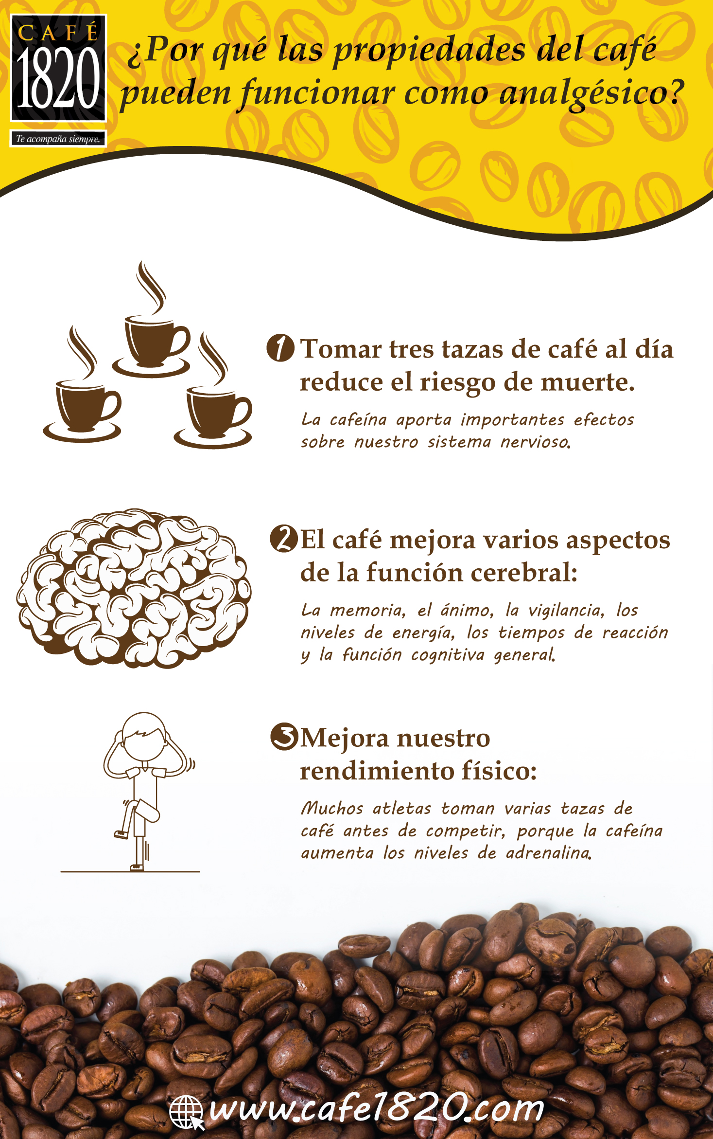 propiedades del café